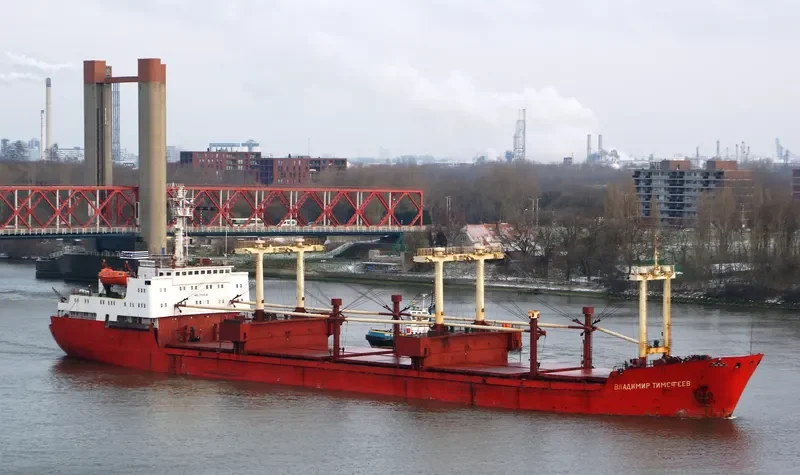 VLADIMIR TIMOFEYEV General Cargo IMO 7310636 photo 2
