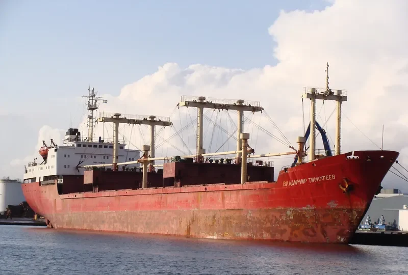 VLADIMIR TIMOFEYEV General Cargo IMO 7310636 photo 4
