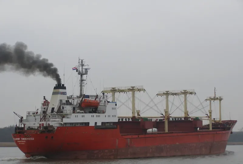 VLADIMIR TIMOFEYEV General Cargo IMO 7310636 photo 5
