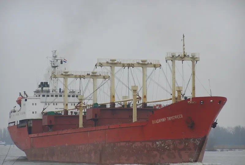 VLADIMIR TIMOFEYEV General Cargo IMO 7310636 photo 6