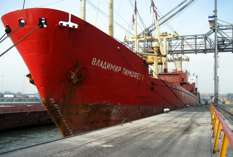 VLADIMIR TIMOFEYEV General Cargo IMO 7310636 photo 9