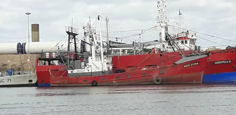 MADRE DIVINA General Cargo IMO 7310686