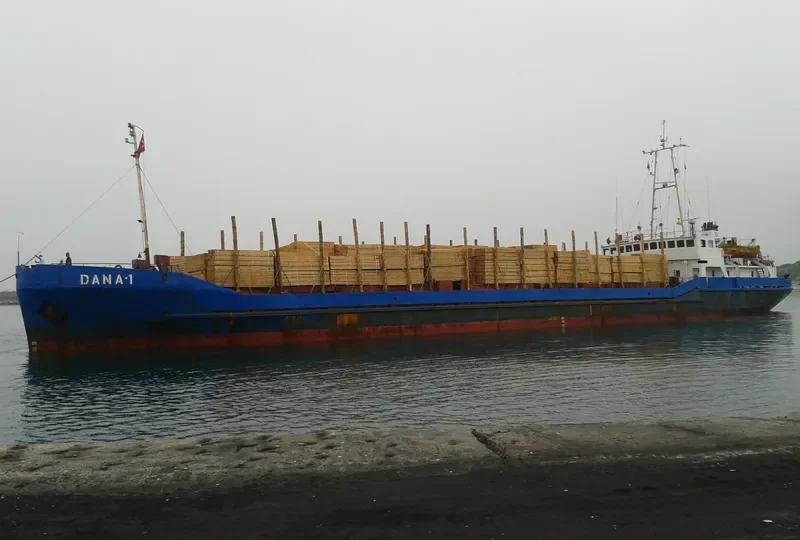DANA 1 General Cargo IMO 7310973 photo 5