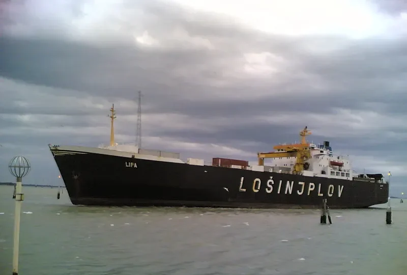 LIPA Ro-Ro IMO 7310997 photo 2