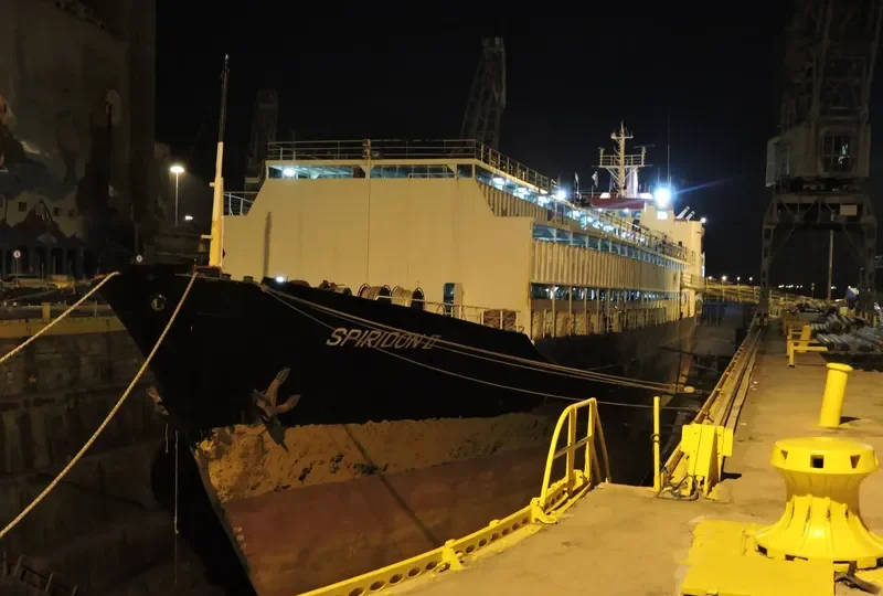 SPIRIDON II General Cargo IMO 7311329 photo 7