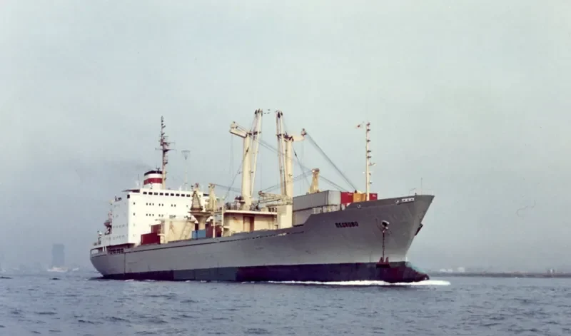 PESTOVO General Cargo IMO 7311331