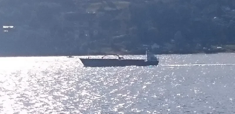 GULLHA General Cargo IMO 7311769