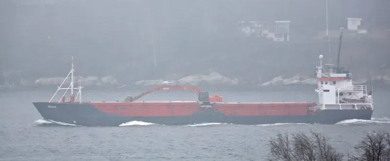 GULLHA General Cargo IMO 7311769 photo 9
