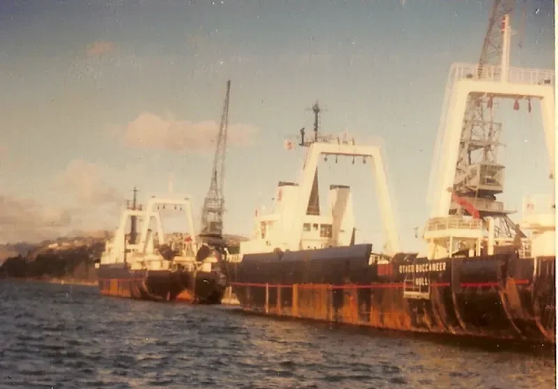 MING FU General Cargo IMO 7311850