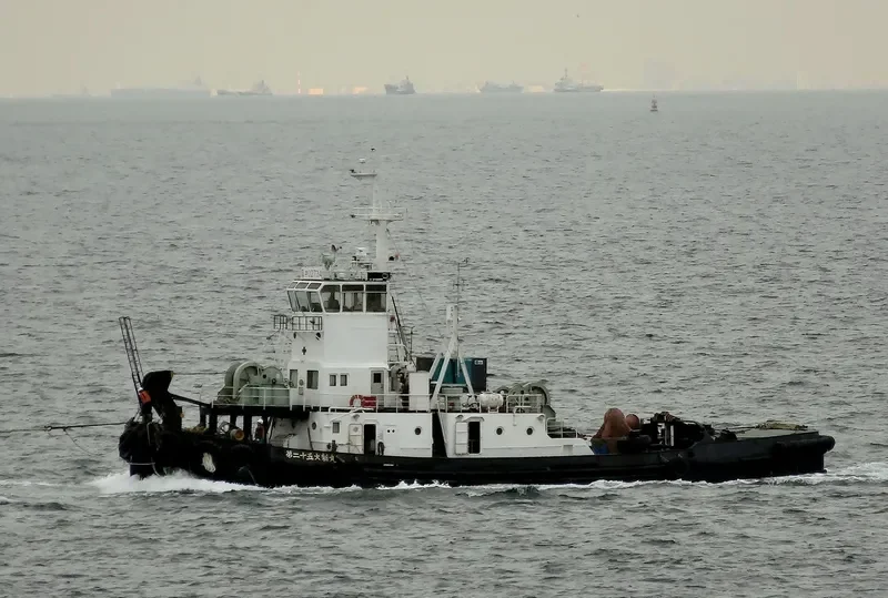 DAISHIN MARU NO.25 Tug Boat IMO 7313016