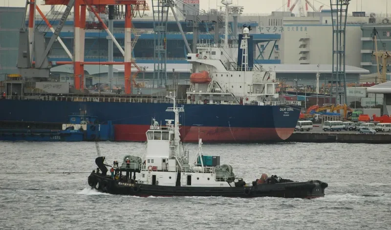 DAISHIN MARU NO.25 Tug Boat IMO 7313016 photo 2