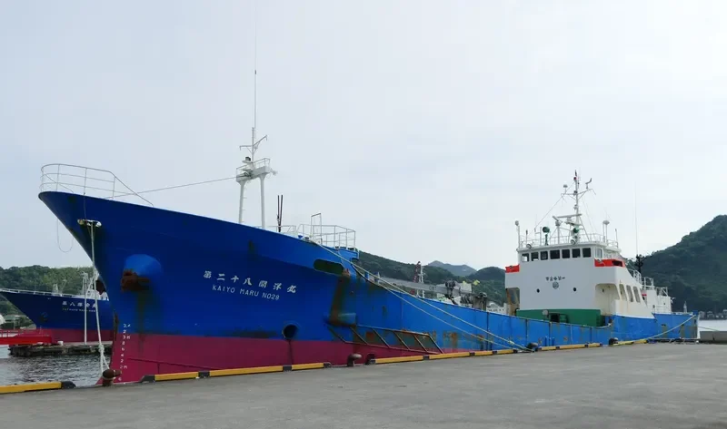 KAIYO MARU NO.28 Fishing Vessel IMO 7313250