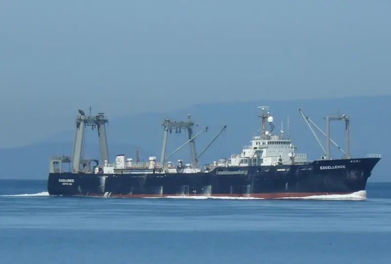 EXCELLENCE General Cargo IMO 7313652 photo 2