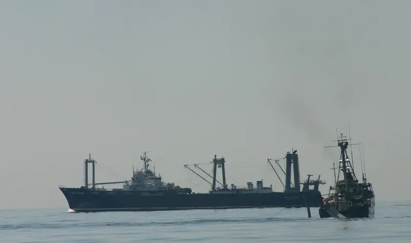 EXCELLENCE General Cargo IMO 7313652 photo 9