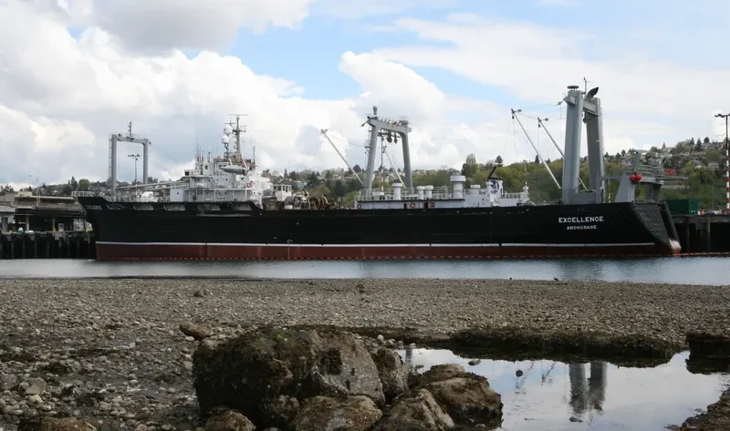 EXCELLENCE General Cargo IMO 7313652 photo 10