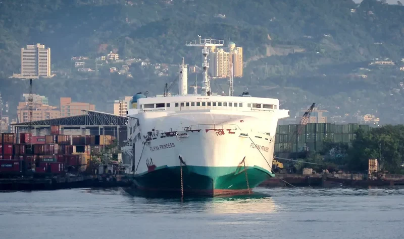 PRINCESS Ro-Ro IMO 7313858 photo 3