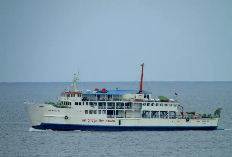 RODITHA Ro-Ro IMO 7314199 photo 3