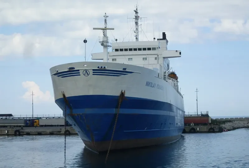 FELLOW Ro-Ro IMO 7315143 photo 10