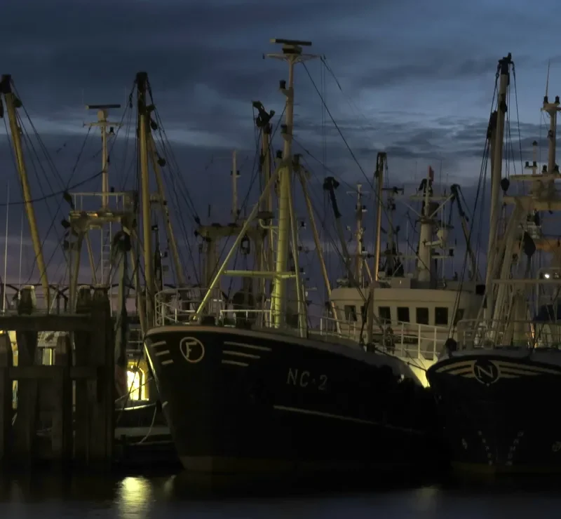 RHEIDERLAND Fishing Vessel IMO 7315521 photo 3
