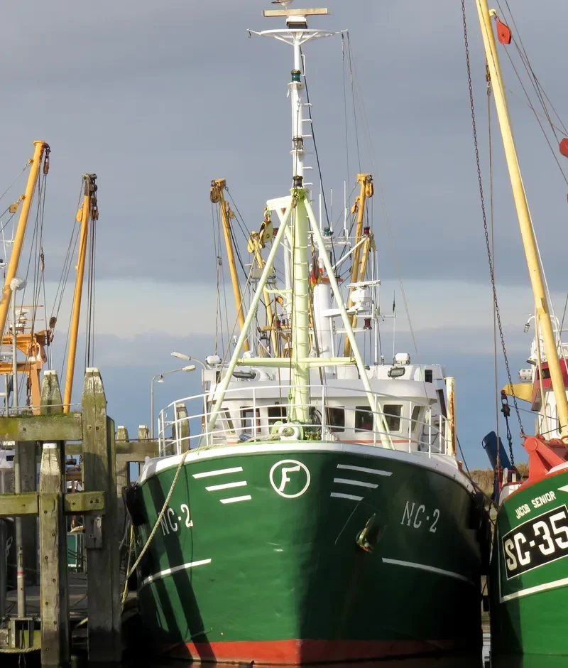 RHEIDERLAND Fishing Vessel IMO 7315521 photo 6