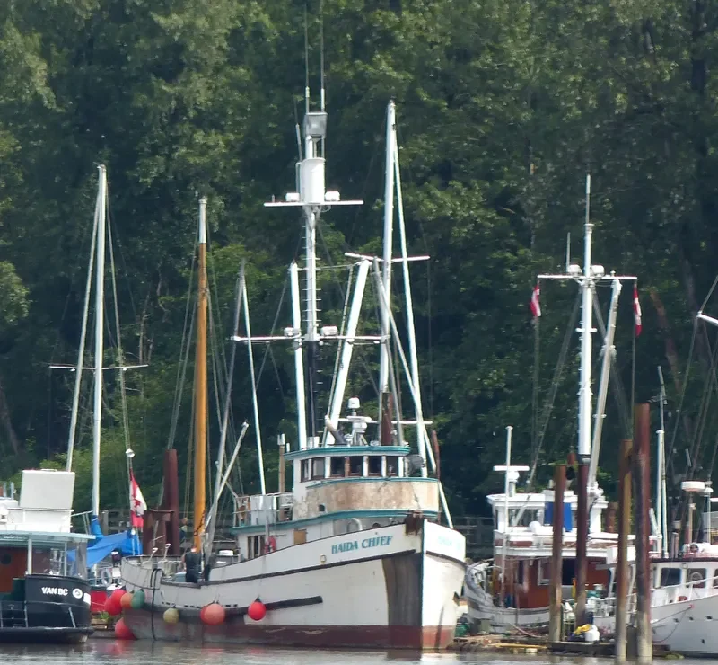 HAIDA CHIEF General Cargo IMO 7316381 photo 3