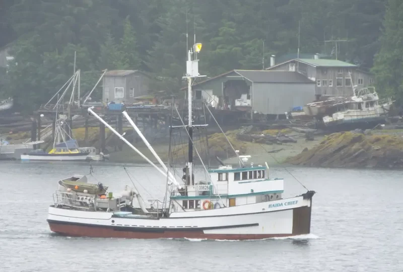 HAIDA CHIEF General Cargo IMO 7316381 photo 4