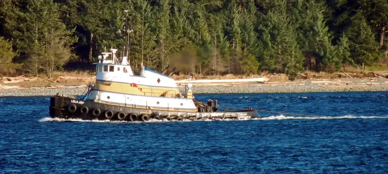 LELA JOY Tug Boat IMO 7316460 photo 2