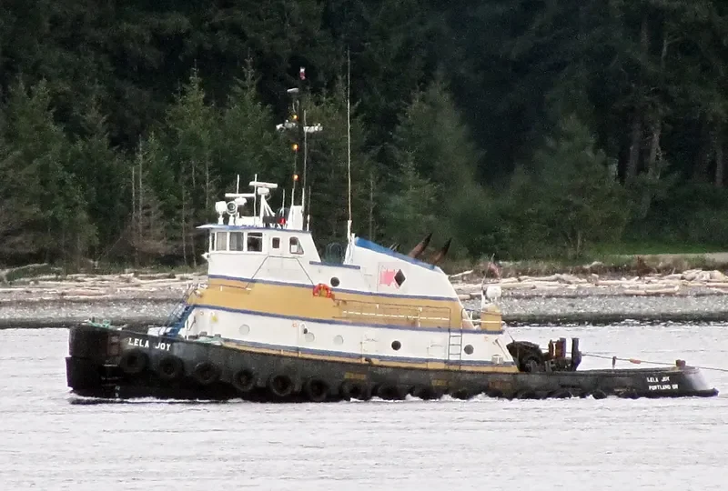 LELA JOY Tug Boat IMO 7316460 photo 7