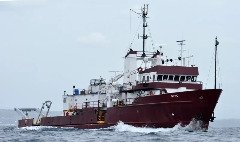GYRE General Cargo IMO 7318999 photo 3