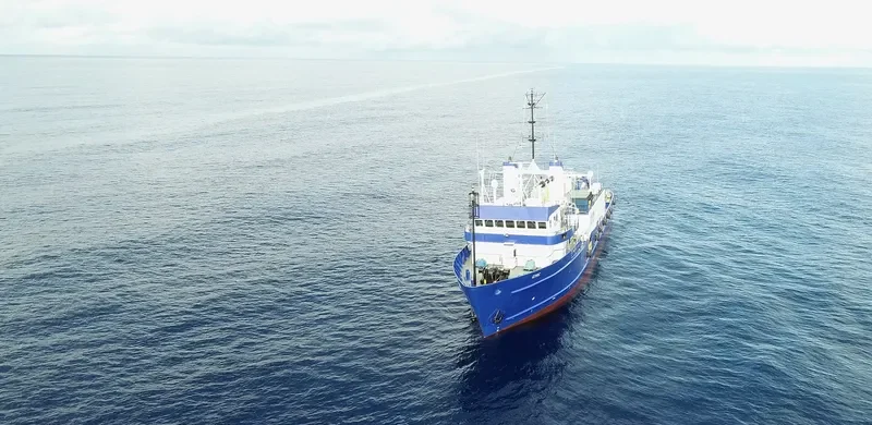 GYRE General Cargo IMO 7318999 photo 9