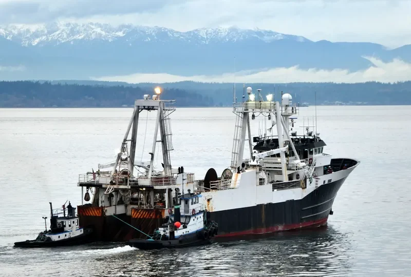 ARICA General Cargo IMO 7319046