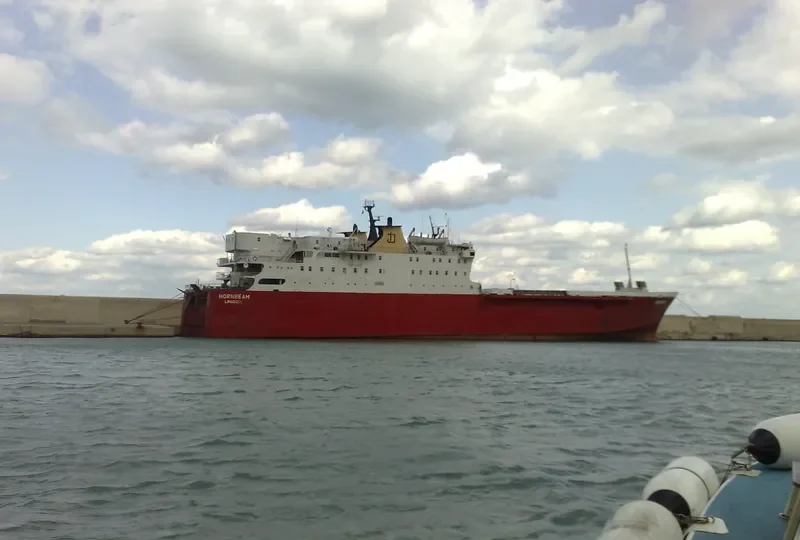 HORNBEAM Ro-Ro IMO 7319668