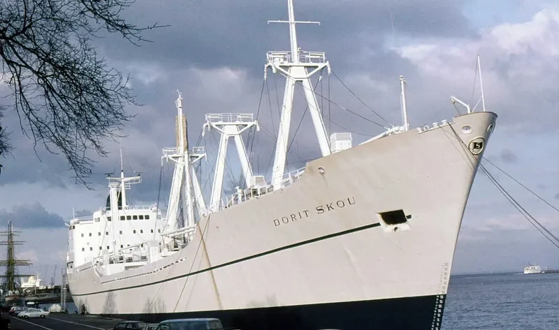 RAK WON General Cargo IMO 7319814