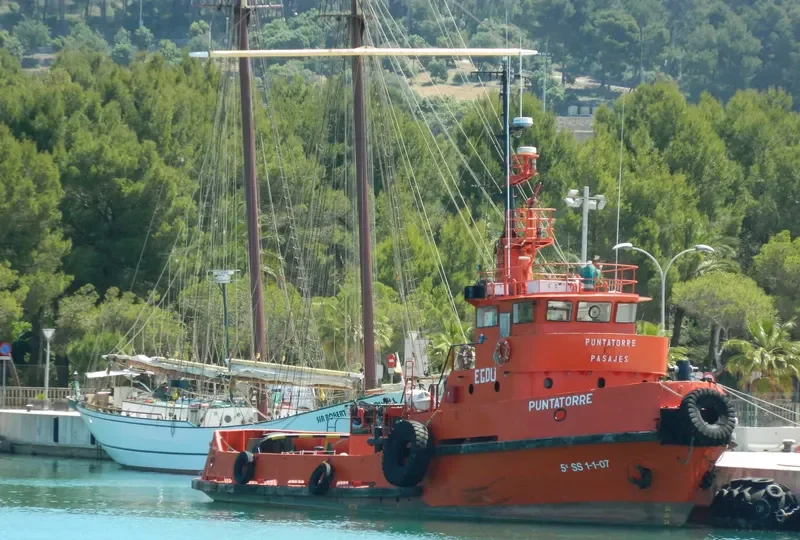 PUNTATORRE General Cargo IMO 7320356 photo 10