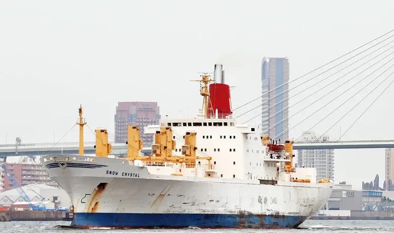 SNOW CRYSTAL General Cargo IMO 7321075 photo 3