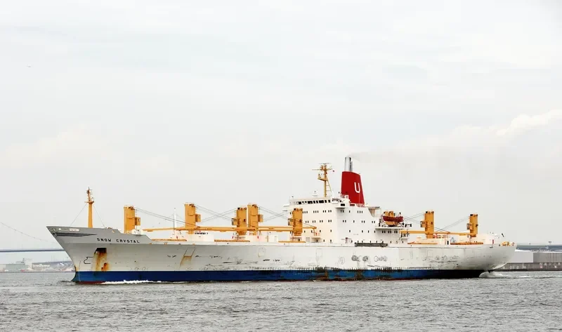 SNOW CRYSTAL General Cargo IMO 7321075 photo 4