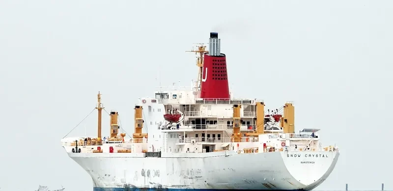SNOW CRYSTAL General Cargo IMO 7321075 photo 6