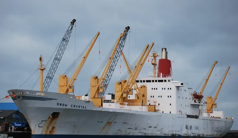 SNOW CRYSTAL General Cargo IMO 7321075 photo 9