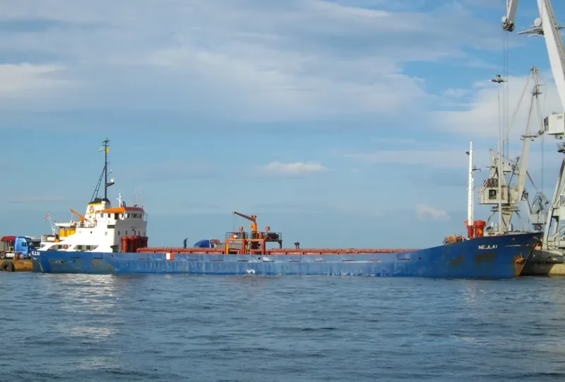 NEJLA 1 General Cargo IMO 7321283 photo 8