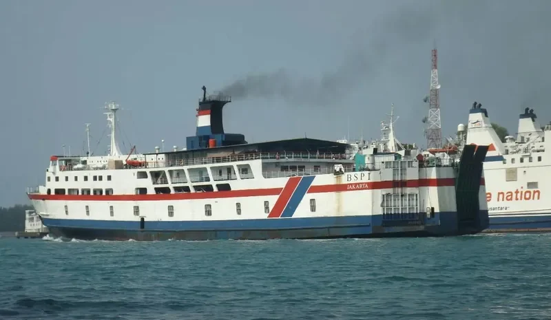 BSP I Ro-Ro IMO 7323308 photo 5