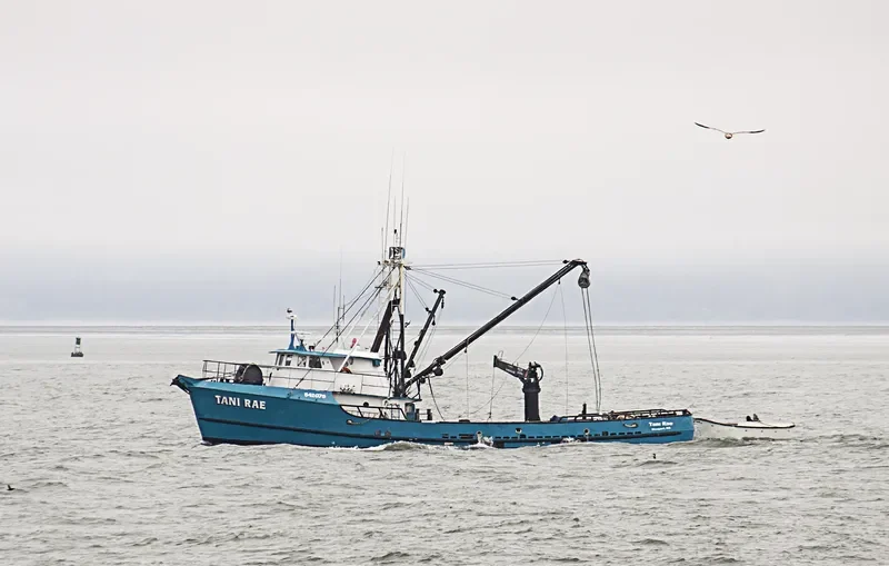 TANI RAE General Cargo IMO 7324041 photo 2
