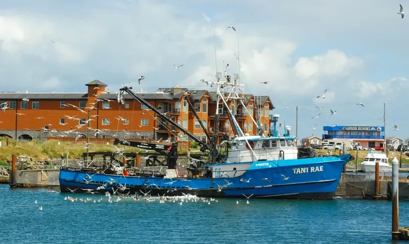 TANI RAE General Cargo IMO 7324041 photo 3