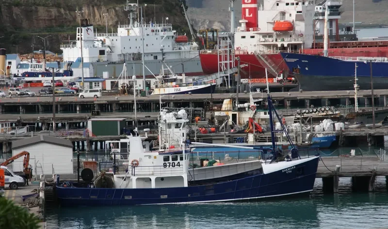 SHEMARA General Cargo IMO 7324168