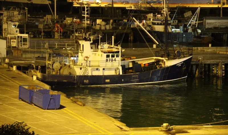 SHEMARA General Cargo IMO 7324168 photo 4