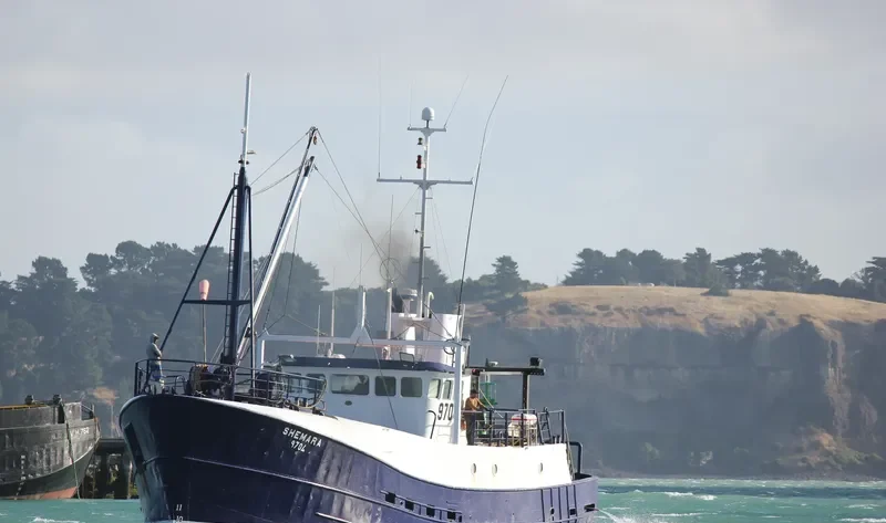 SHEMARA General Cargo IMO 7324168 photo 8