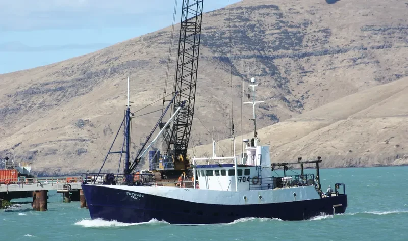 SHEMARA General Cargo IMO 7324168 photo 10