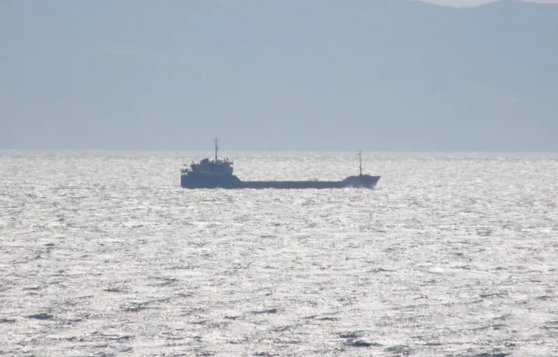 SORMOVSKIY 29 General Cargo IMO 7324273 photo 5