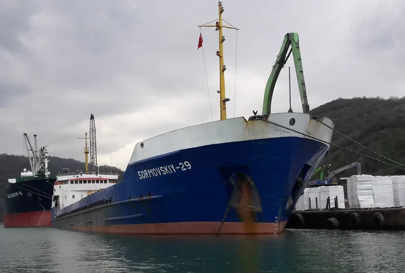 SORMOVSKIY 29 General Cargo IMO 7324273 photo 7