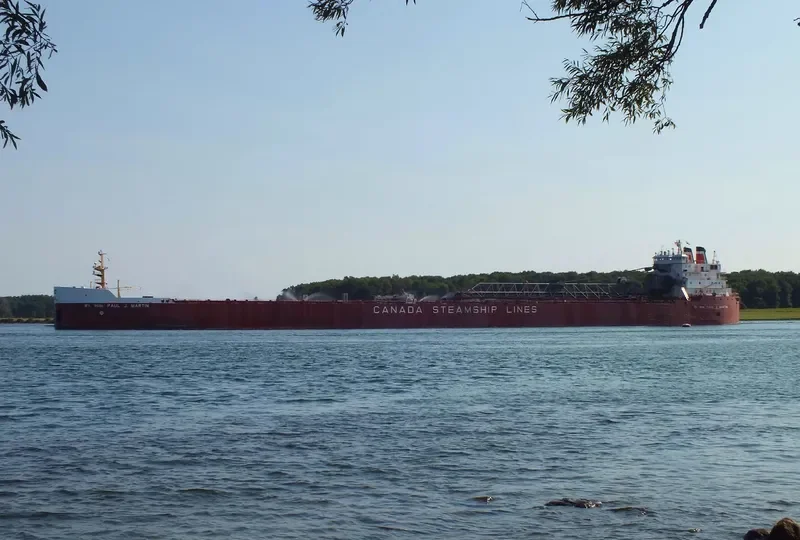 RT.HON.PAUL J.MARTIN Bulk Carrier IMO 7324405 photo 2