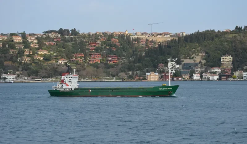 MURVET IMAMOGLU General Cargo IMO 7324900 photo 6